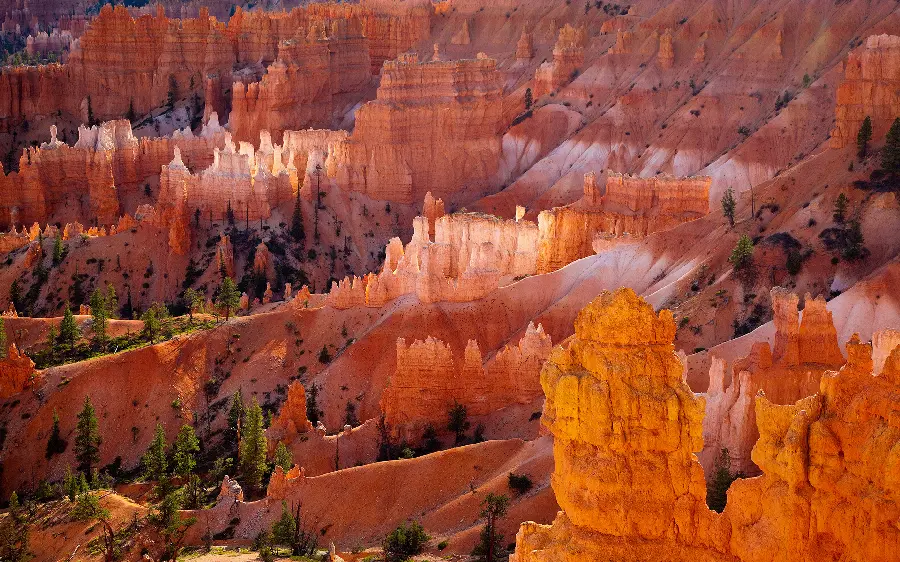 Wallpaper image of Bryce Canyon National Park in Utah with a stunning view