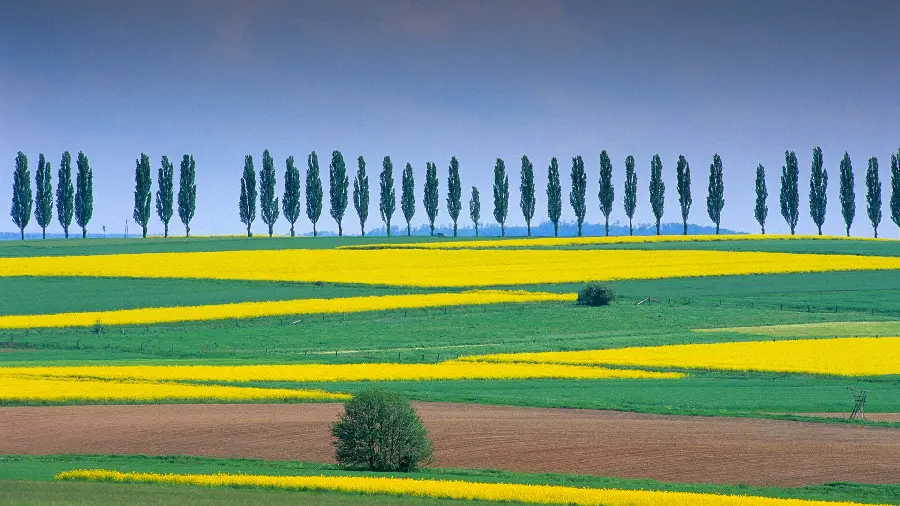 Download selected and special wallpapers of the year 2023 with HD quality 