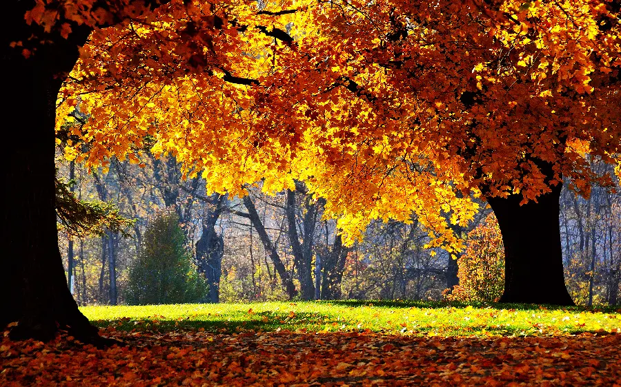 Beautiful and wonderful autumn nature wallpapers