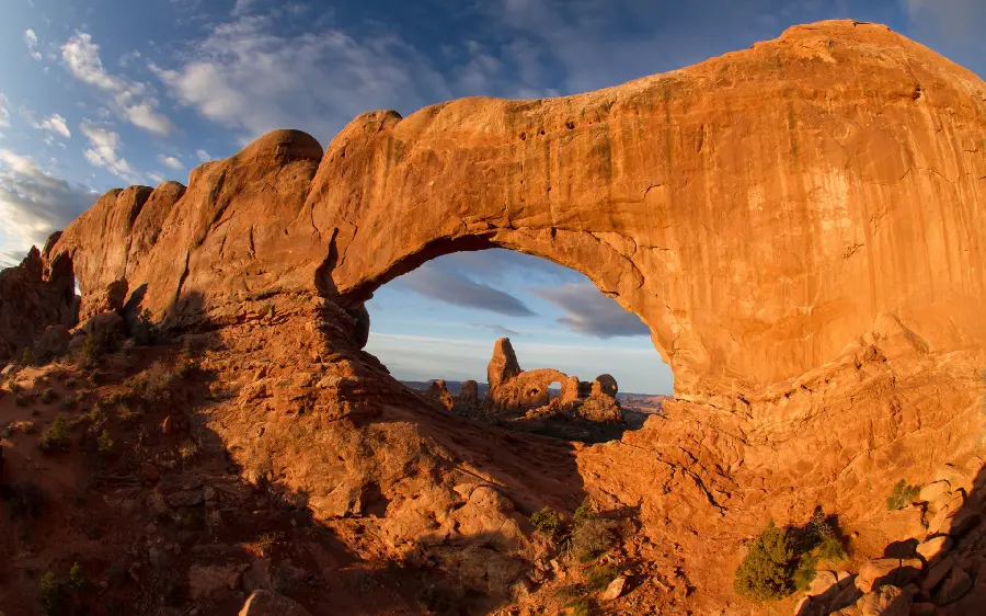 Free download of stock with a special and unique view in nature