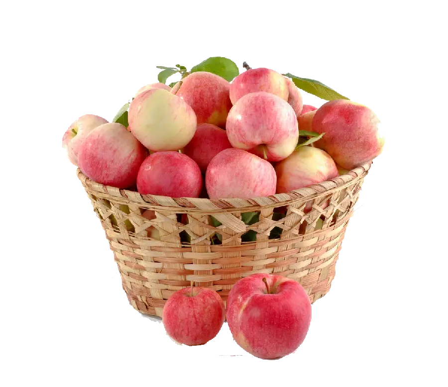 Photo of a basket of delicious and sweet apples suitable for entertaining guests