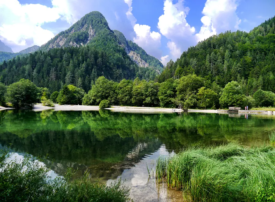 A charming and dreamy wallpaper of lush and lush nature