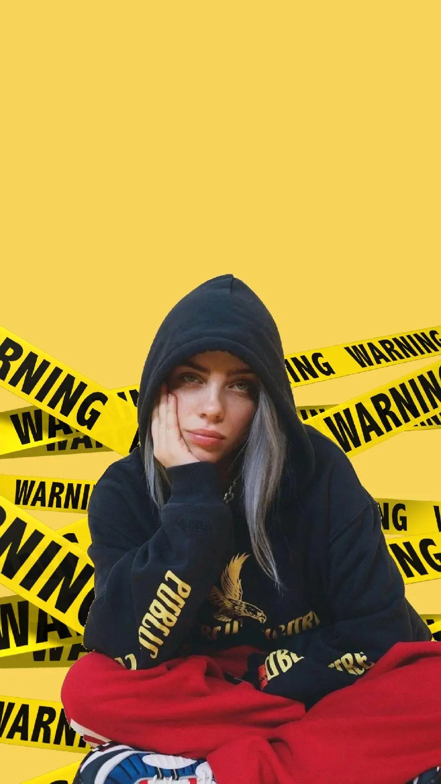 Billie Eilish wallpaper, one of the most beautiful singers of the new decade with global fans 