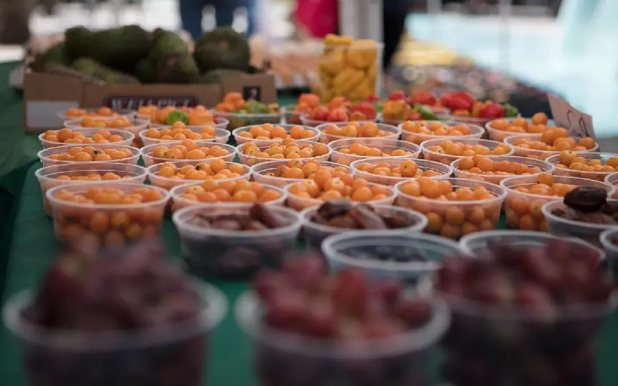 The newest dried fruit and processed products market for export and import 