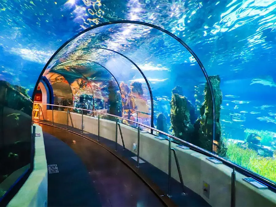 The best tourist areas in Kish in winter