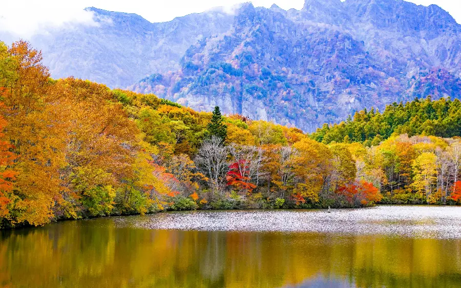 Free download of autumn images in free and beautiful nature for painting ideas 