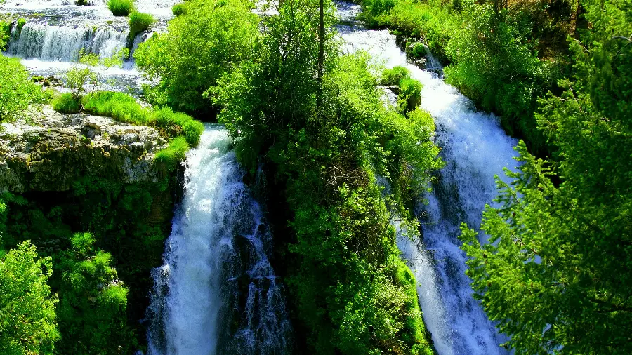 The latest profile photo and free background of lush and forest nature design with waterfall 
