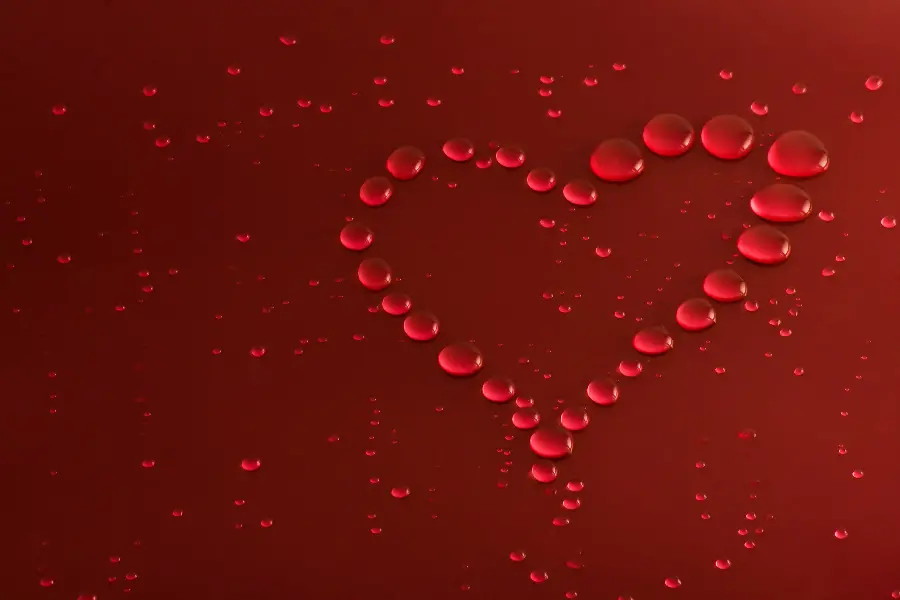 The most beautiful Valentine's Day themed stock image with high quality 
