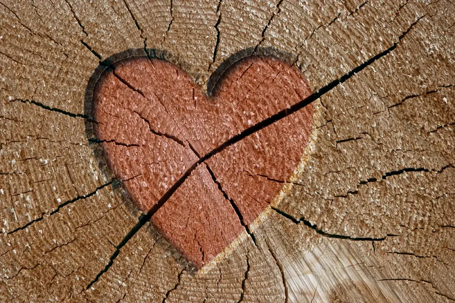 Download Valentine's Day City Map Heart Design with Highest Quality
