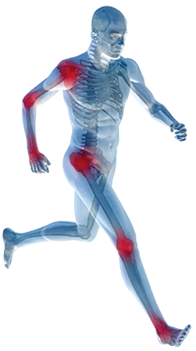 Human skeleton moving and running with the theme of physiotherapy