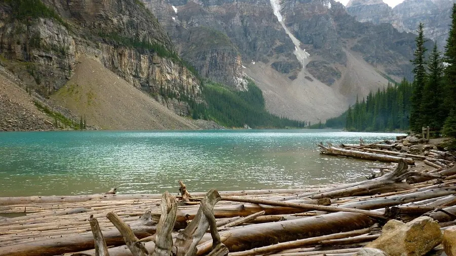 Very beautiful wallpaper of nature suitable for profile photo