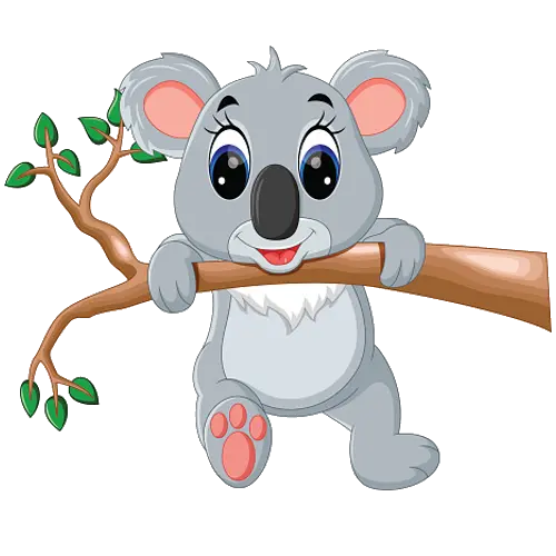 Koala on eucalyptus branch png format without background