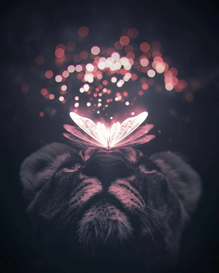 Download Collection of Animal Wallpapers in Surrealism Style