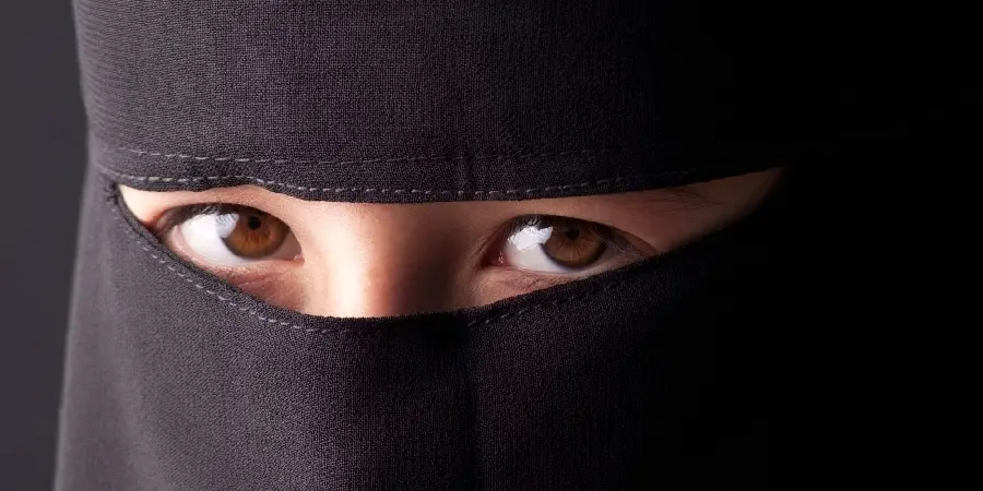 The most up-to-date new profile photo 1403 of a girl with a mask and veil