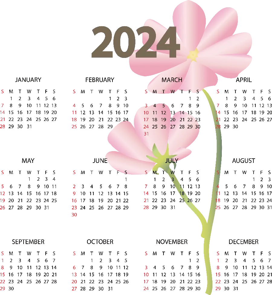 Background of the 2024 calendar with a background of pink flowers