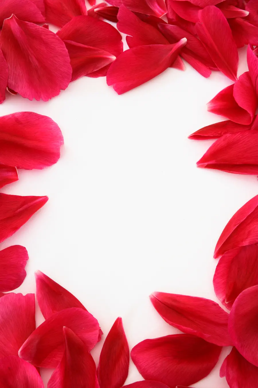 Stock photo for Valentine's Day greetings to love with petal decoration