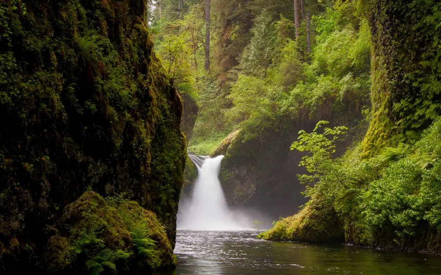 Wallpaper of nature with a view of a high waterfall suitable for profiles and backgrounds