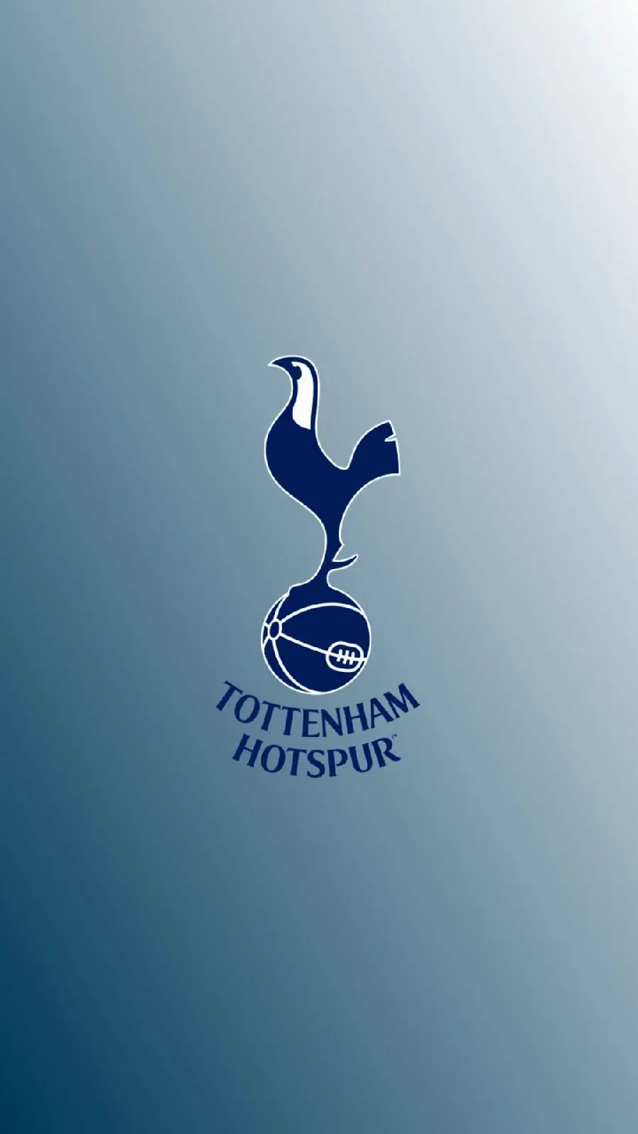 Wallpaper with a pleasant resolution for the background of the phone with the Tottenham team design
