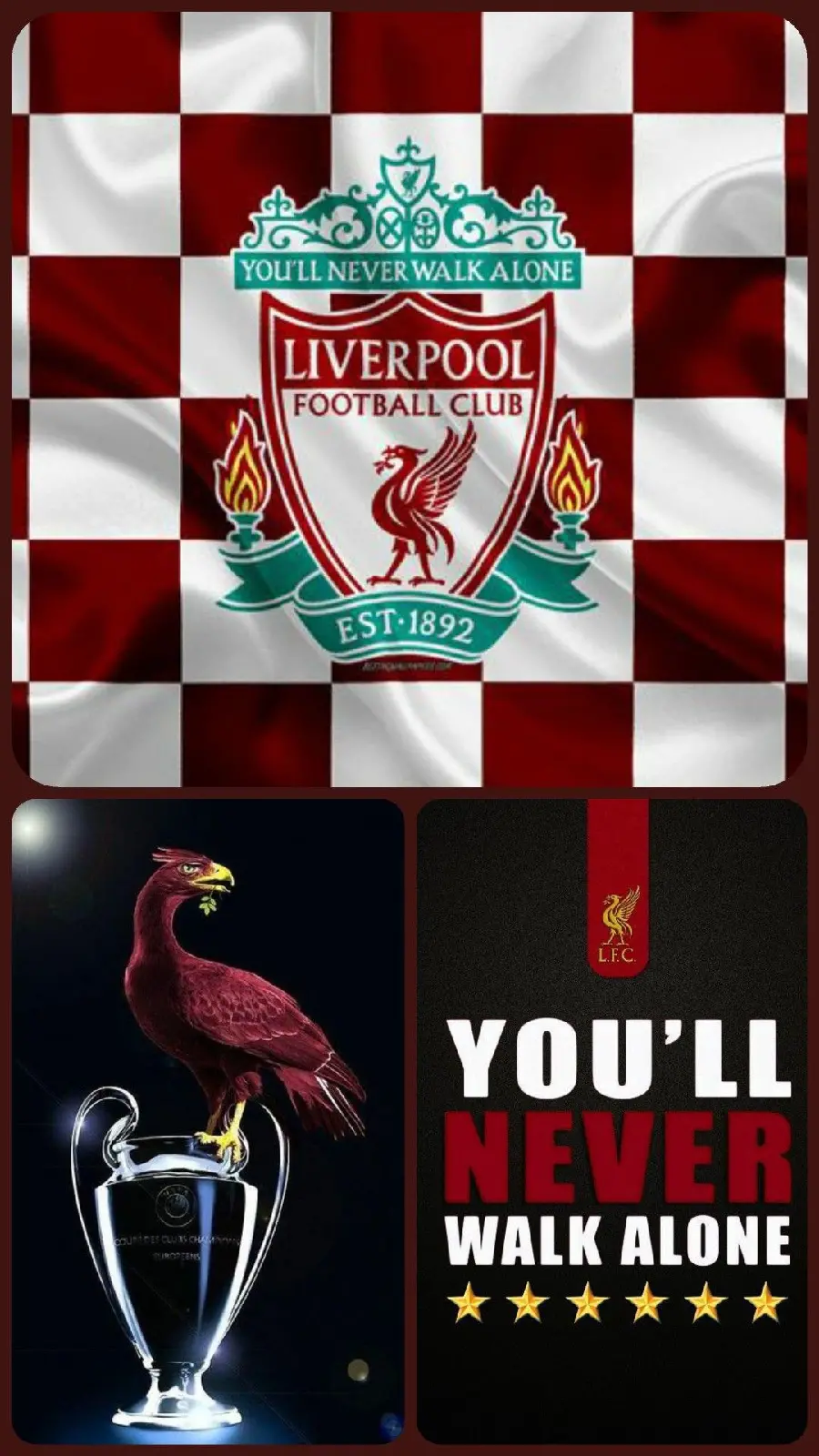 Wallpaper of the most proud team of the English club Liverpool