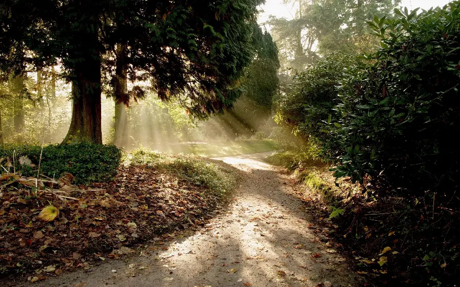 The most visited background photo of autumn nature and attractive for profile 