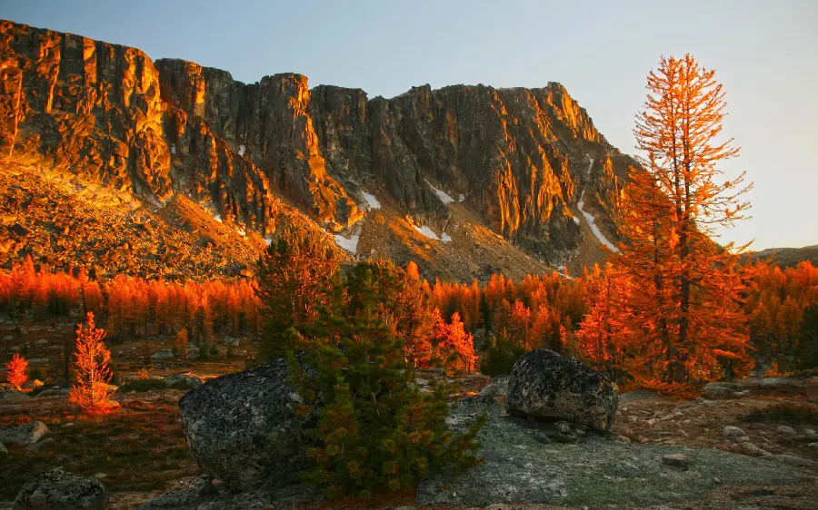 Autumn profile photo of the thousand colors of autumn in nature