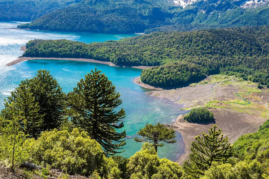 Background and Computer Wallpaper from Selected Images 2023 with Natural Landscape View