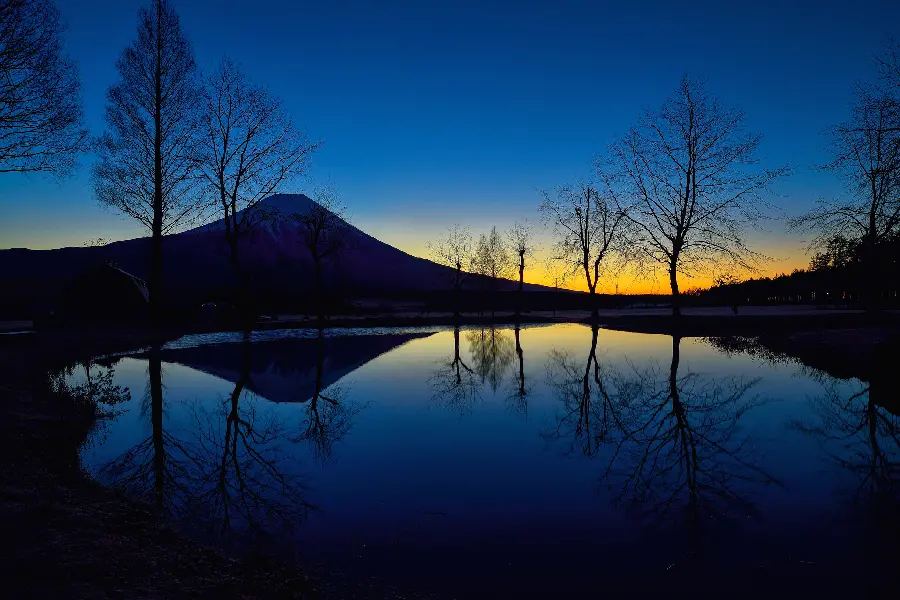 Nature profile photo suitable for people with sensitive souls