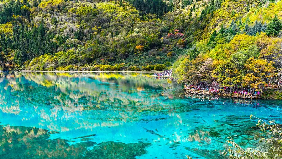 Download wallpaper with a lush nature design and a dreamy blue lake for nature tourism