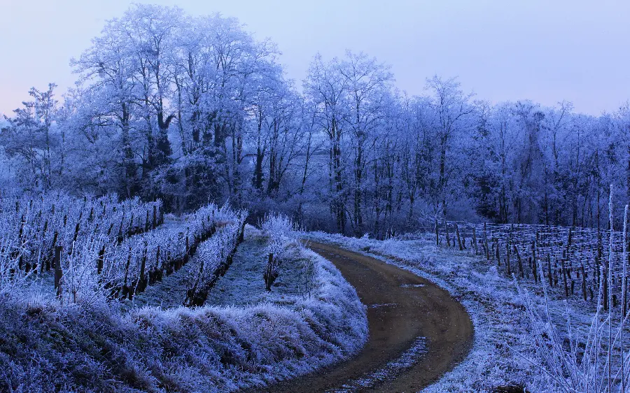 Background image with a sense of cold from winter and snowy nature