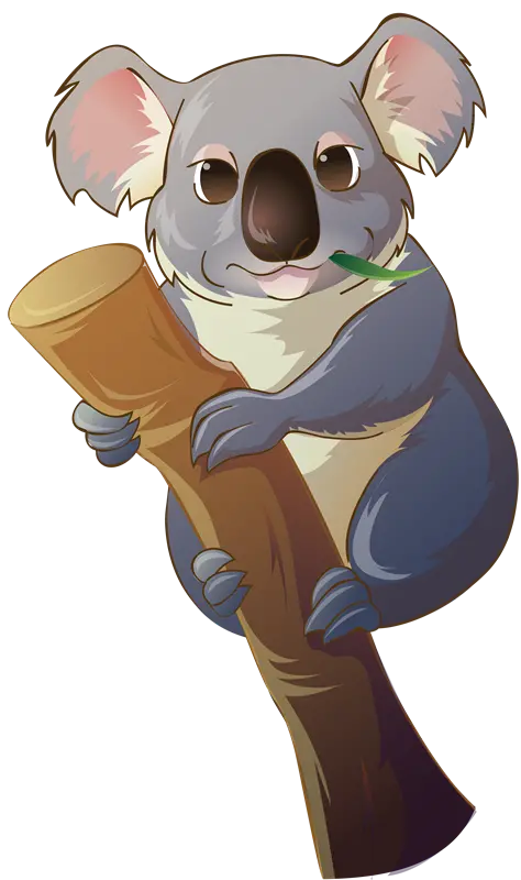 PNG photo, graphic PNG of the most famous Australian animal Koala 