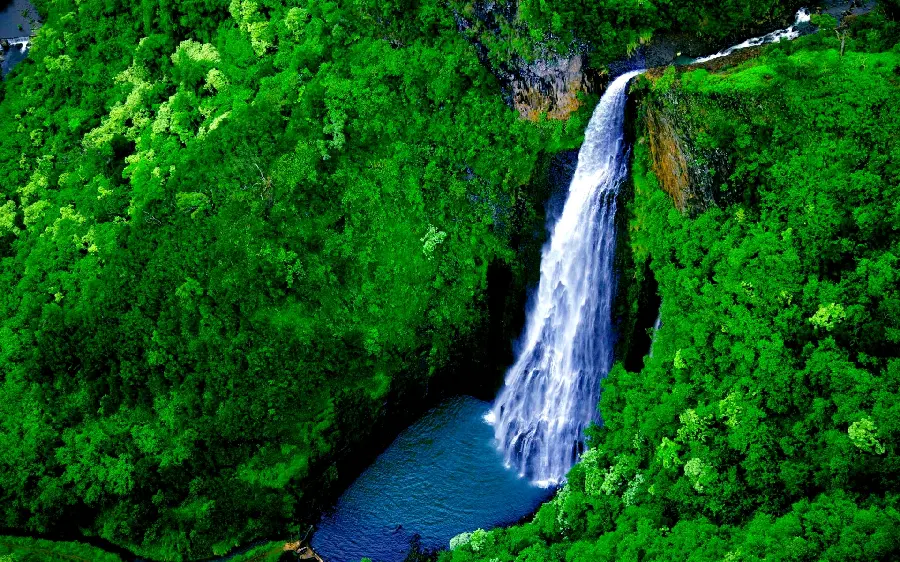 A picture of Manawaipuona Falls from Hawaii's attractions for your profile
