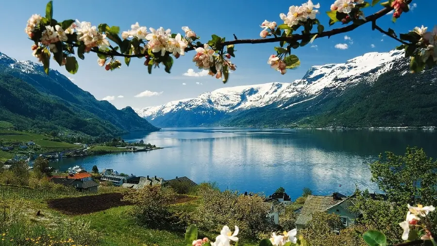 The most beautiful profile picture published of nature in the year 1402 