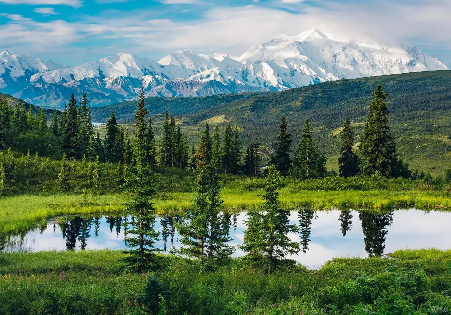 Background photo of the Alaskan mountainsFor free 