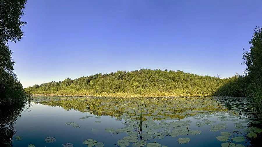 Free download of superior nature images for the virtual space profile