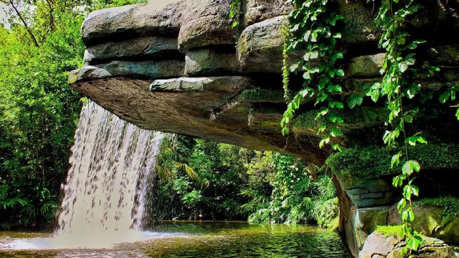 A Stock Image of Forest Trees with a Beautiful and Attractive Waterfall in jpg Format