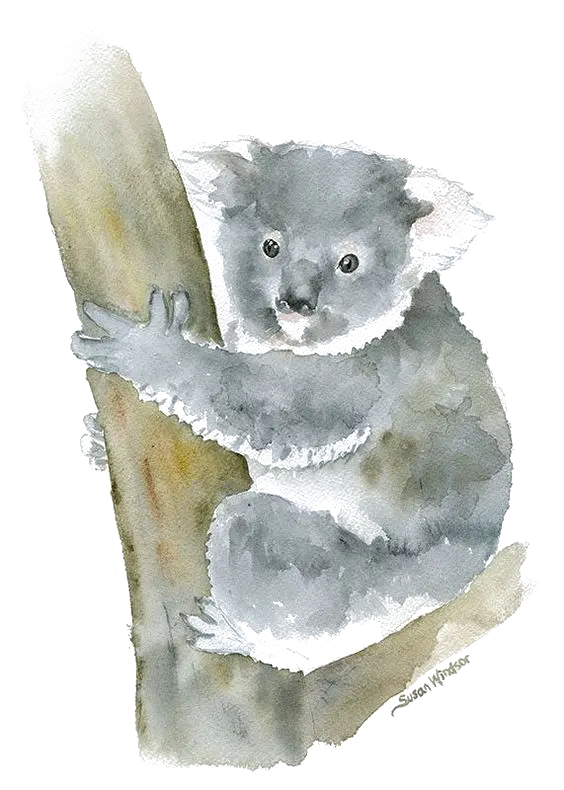 Gray koala bear resting png graphic drawing