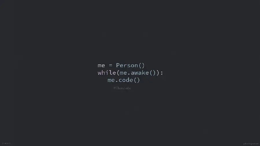 Programming wallpaper with attractive minimalist text design