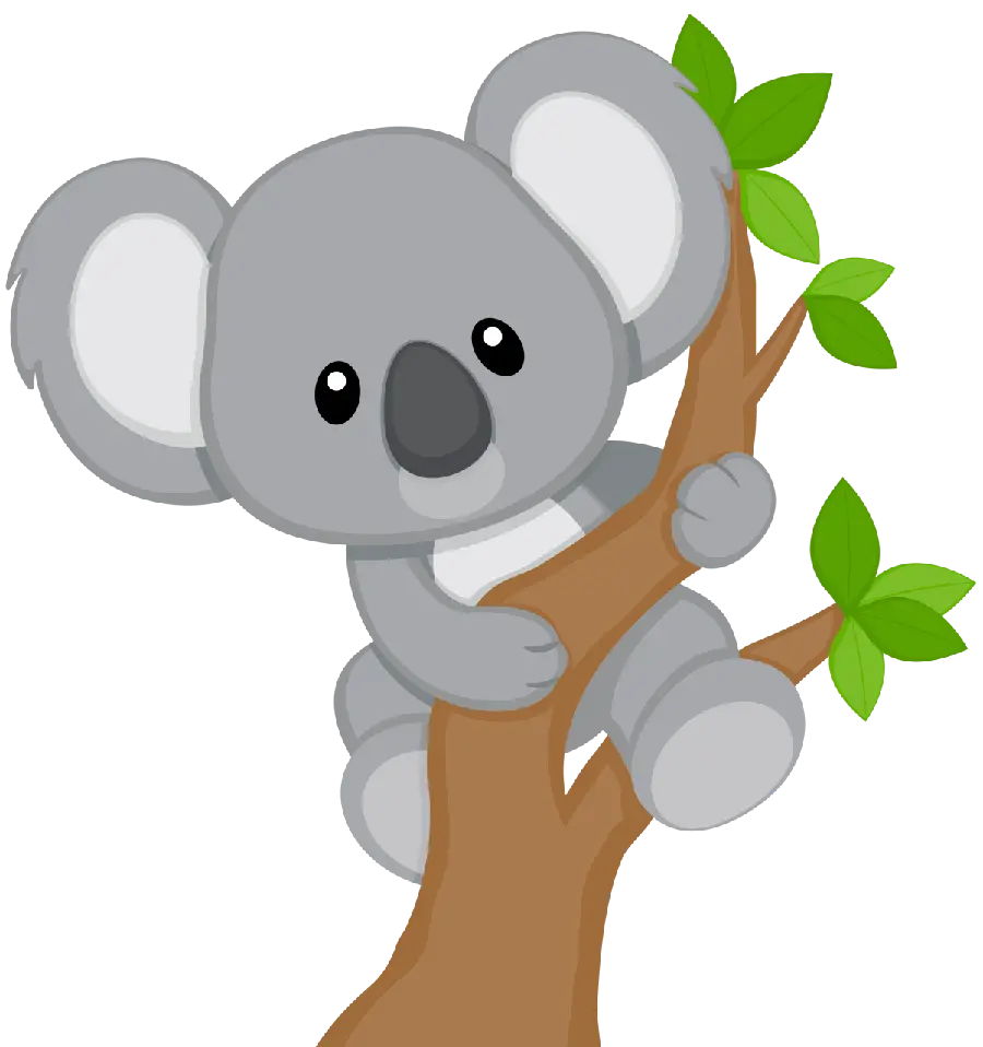 PNG image of a famous Australian animal Koala on a eucalyptus tree branch 