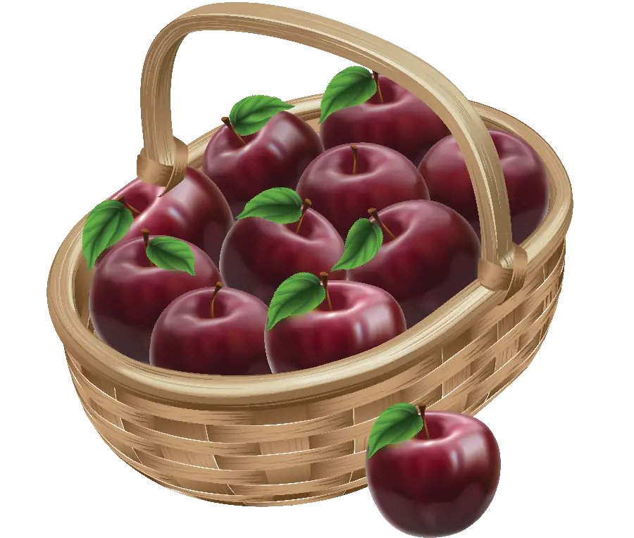 Beautiful and different PNG image of a cut out apple without background