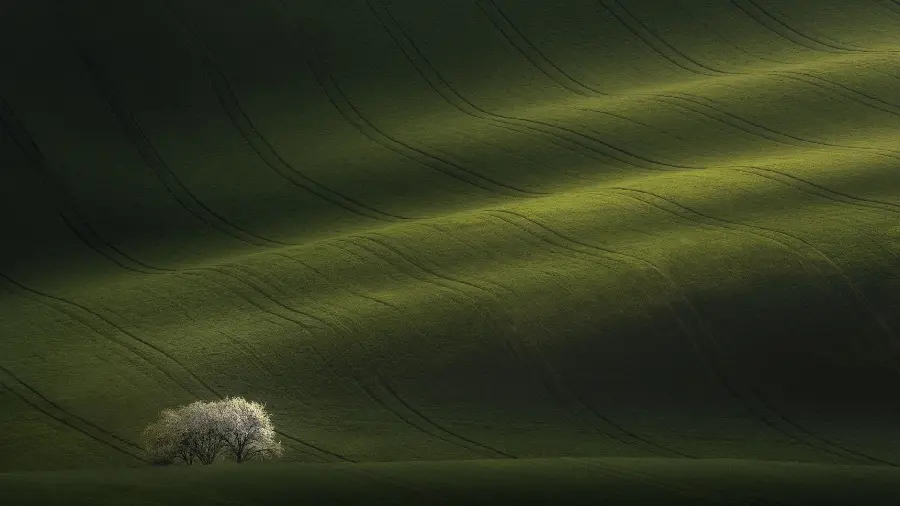 Backgrounds and backgrounds for computer for special people with 1403 design