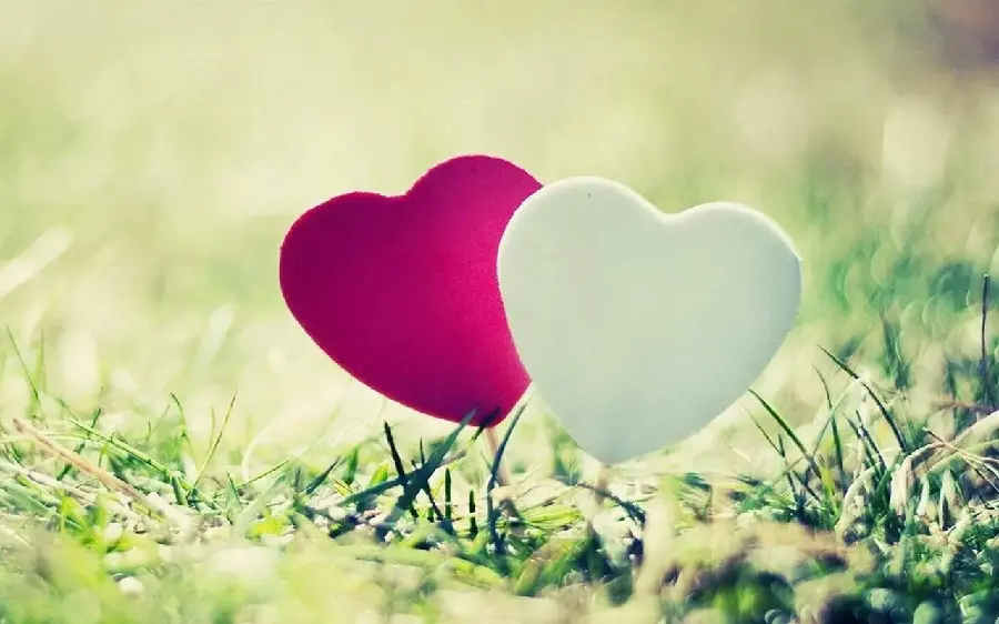 Background image for laptop with a romantic design of two loving hearts
