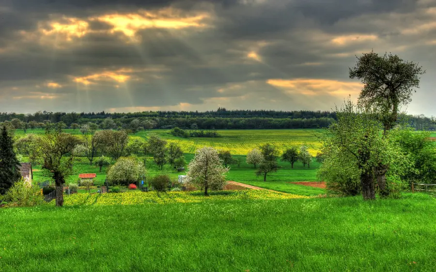 Download photo of a lush area with cloudy weather and full of gray clouds 