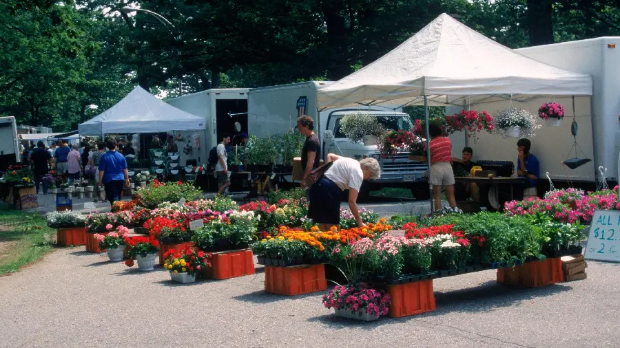 The most beautiful fruit and vegetable shop and market in the world