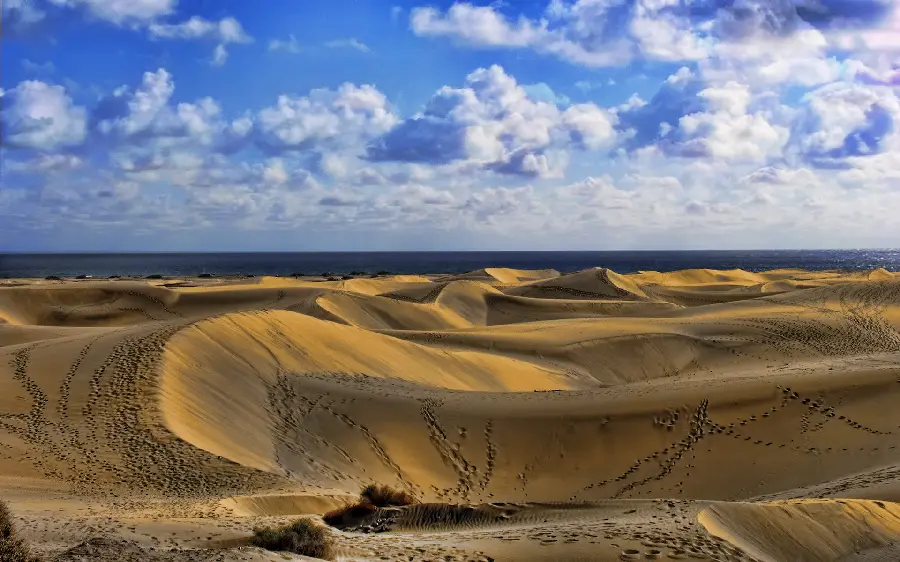 Image of a desert landscape in pristine nature for your profile 