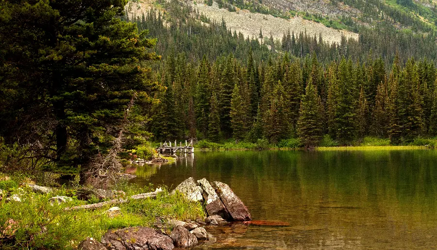 Lush forest landscape by the lake for nature tourism 