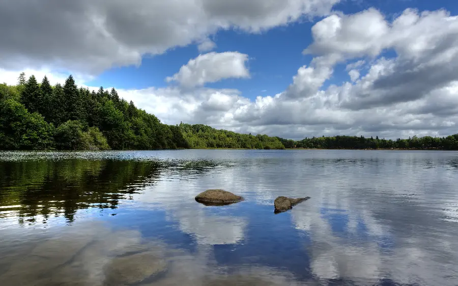 Free download of a calm nature profile photo for classy and distinguished people