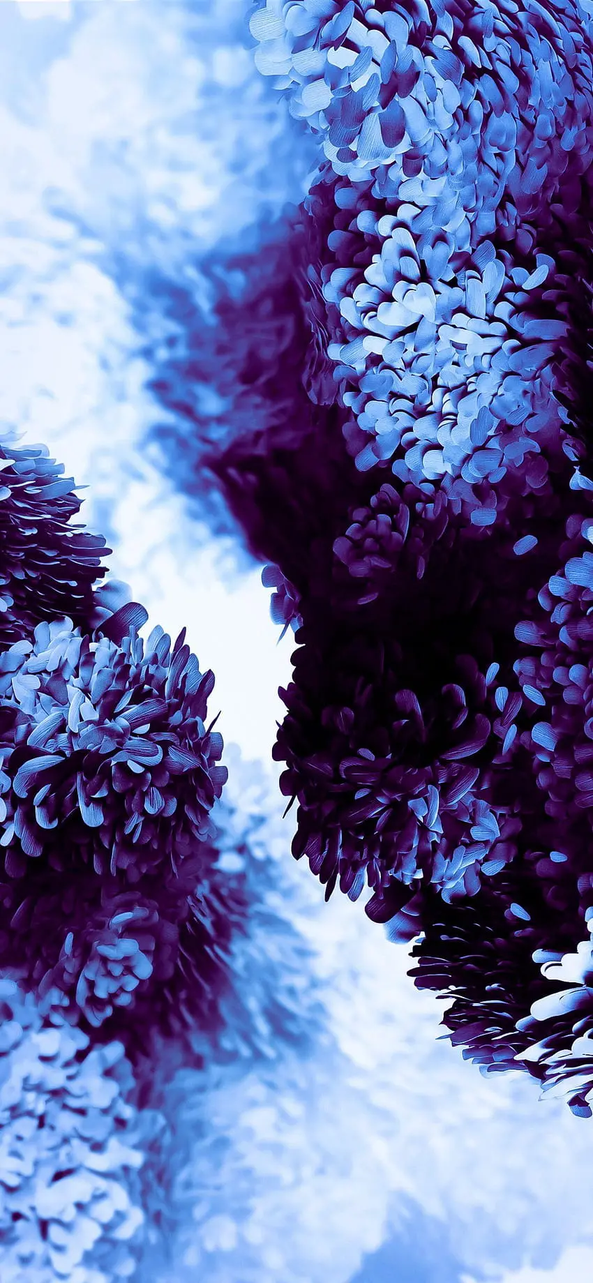 Download wallpaper for Galaxy A05 Galaxy for girls and boys 