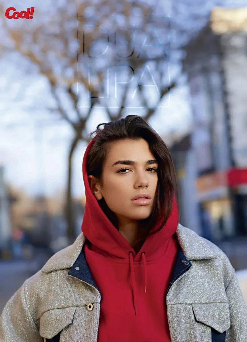 Picture taken of Dua Lipa with a background and a city view