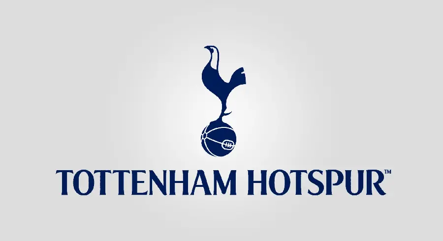 Tottenham wallpaper with full hd quality for printing on sports t-shirts