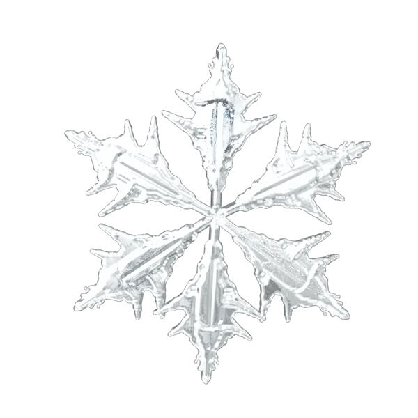 Silver Snowflake PNG Photo Cut Out Without Background